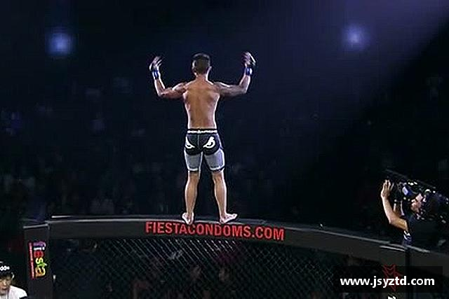 认识YY易游在线登录